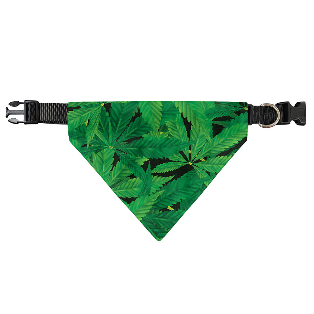 Green Marijuana Leaf Print Over The Collar Dog Bandana