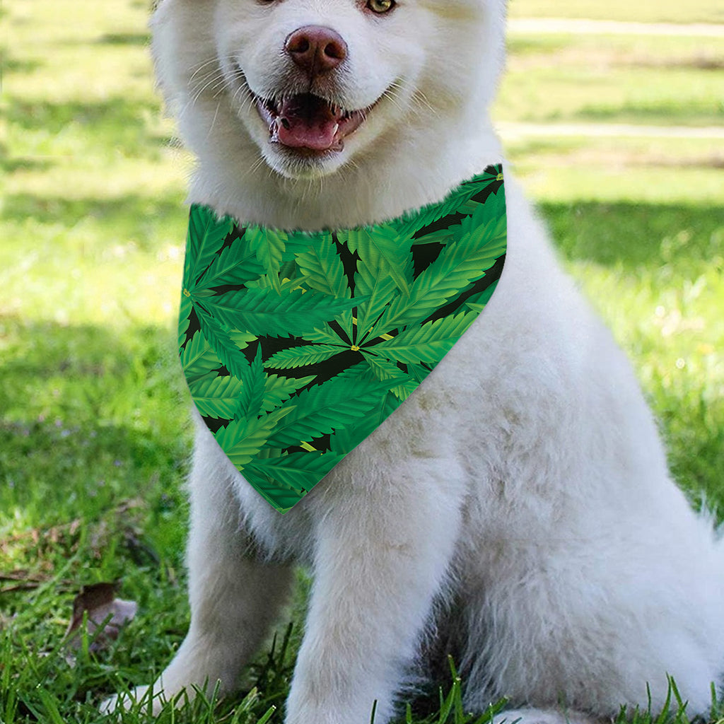 Green Marijuana Leaf Print Over The Collar Dog Bandana
