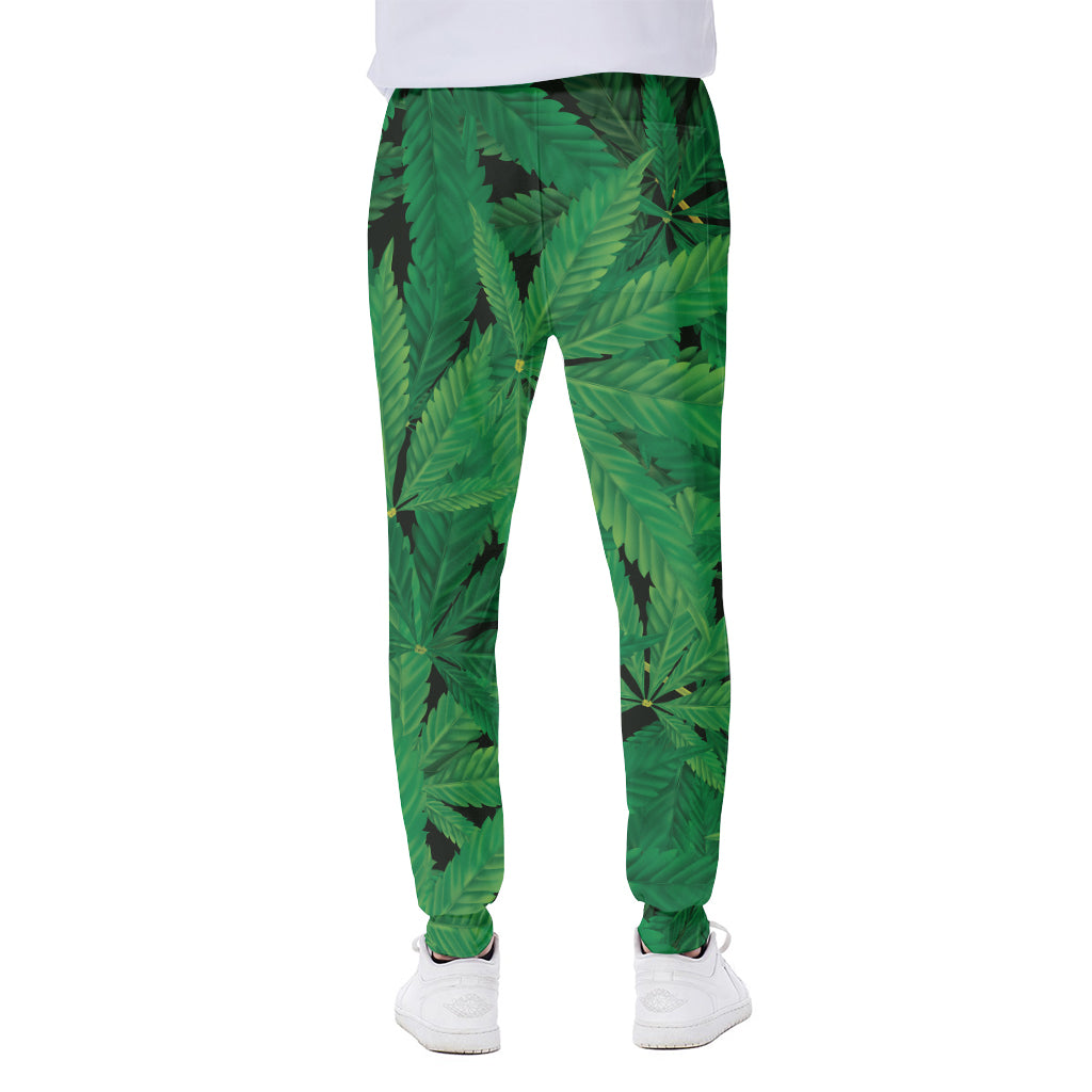 Green Marijuana Leaf Print Scuba Joggers