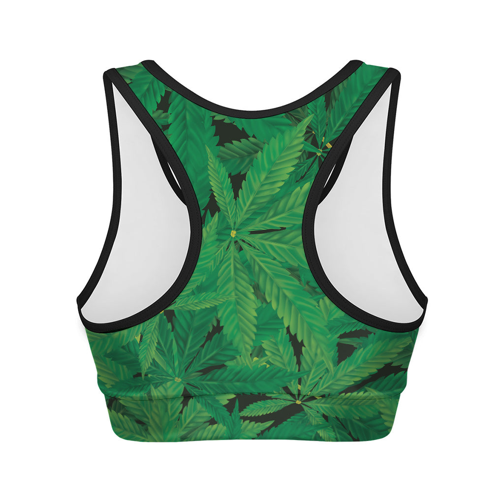 Green Marijuana Leaf Print Women's Sports Bra