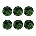 Green Monstera Leaf Print Coaster Set