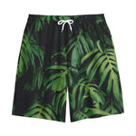 Green Monstera Leaf Print Cotton Shorts
