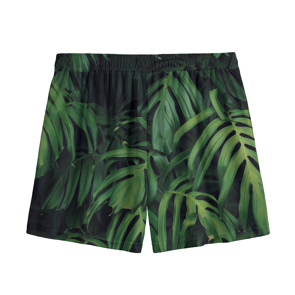 Green Monstera Leaf Print Mesh Shorts