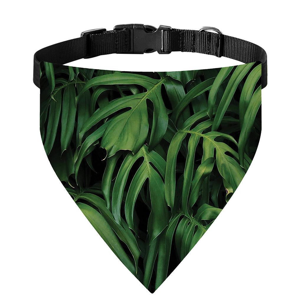 Green Monstera Leaf Print Over The Collar Dog Bandana