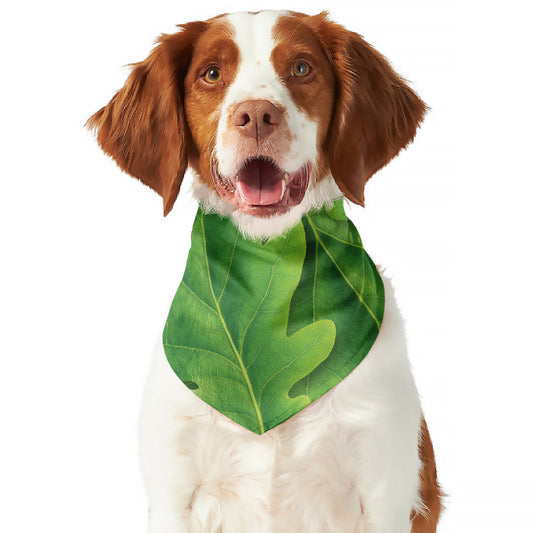 Green Oak Leaf Print Dog Bandana