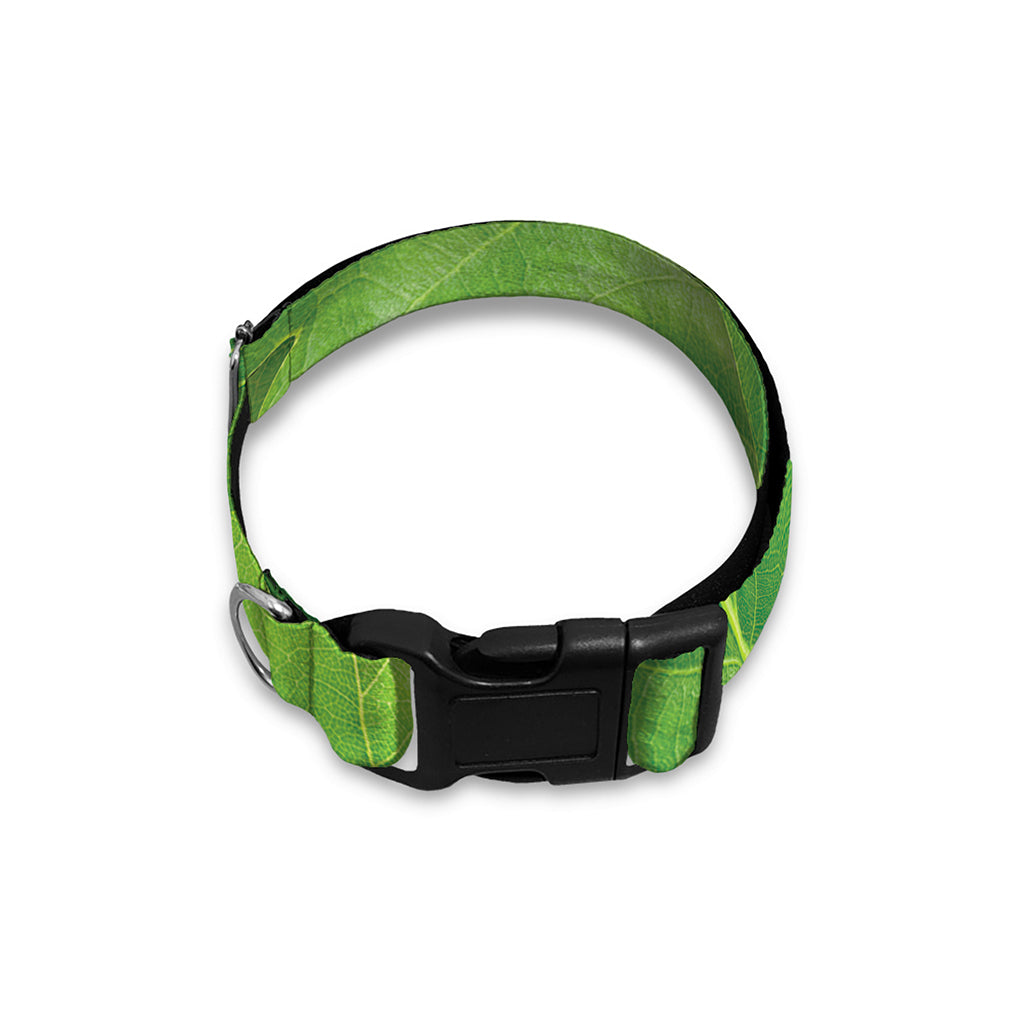 Green Oak Leaf Print Dog Collar