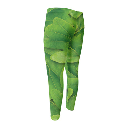 Green Oak Leaf Print Men's Compression Pants