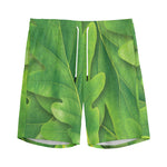 Green Oak Leaf Print Men's Sports Shorts