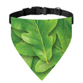 Green Oak Leaf Print Over The Collar Dog Bandana