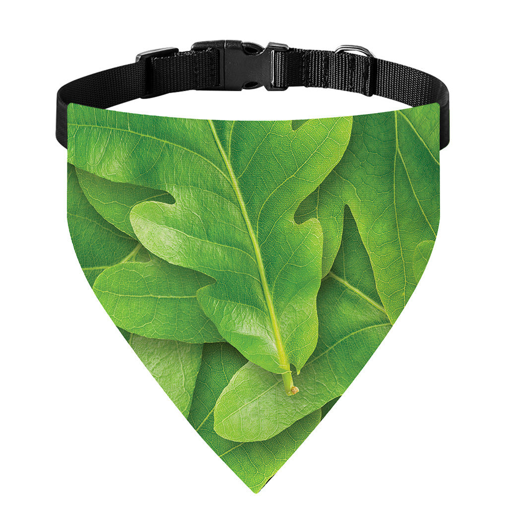 Green Oak Leaf Print Over The Collar Dog Bandana