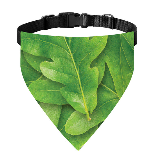 Green Oak Leaf Print Over The Collar Dog Bandana