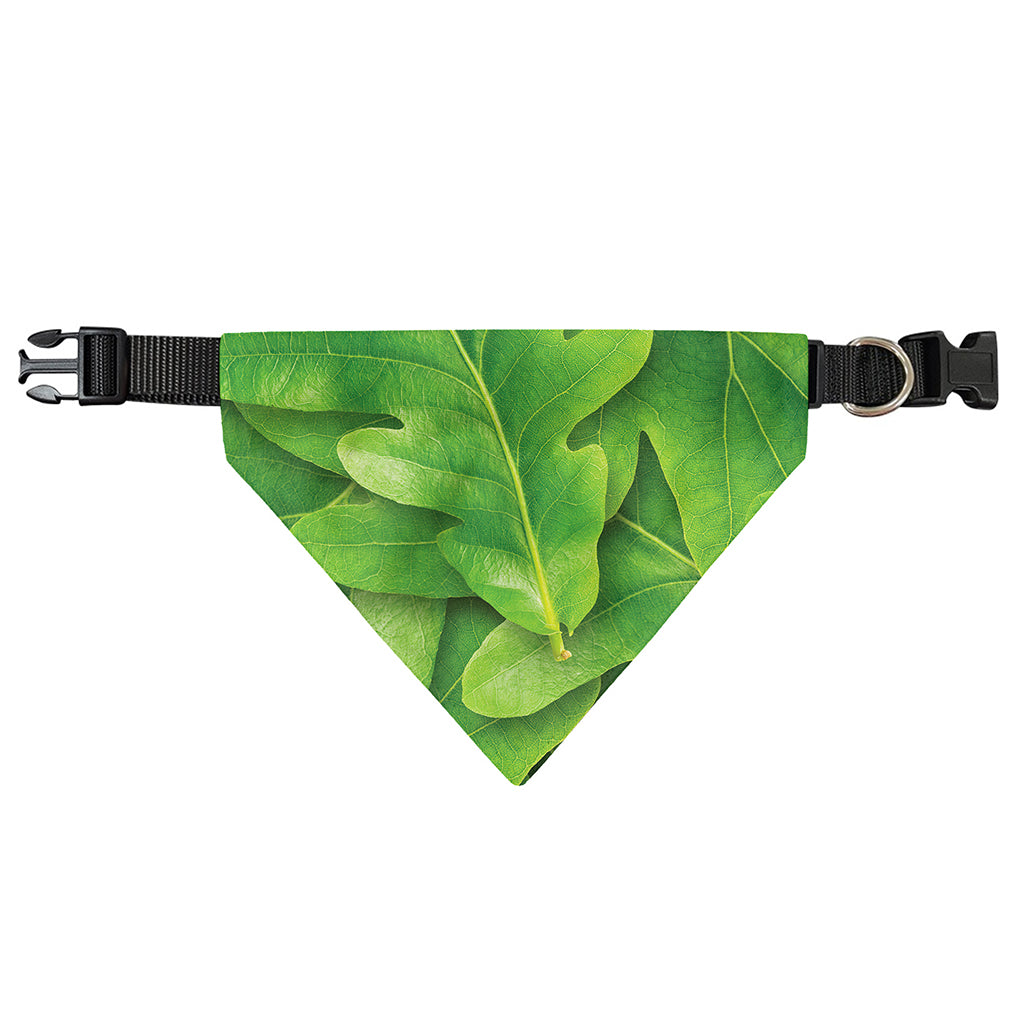 Green Oak Leaf Print Over The Collar Dog Bandana