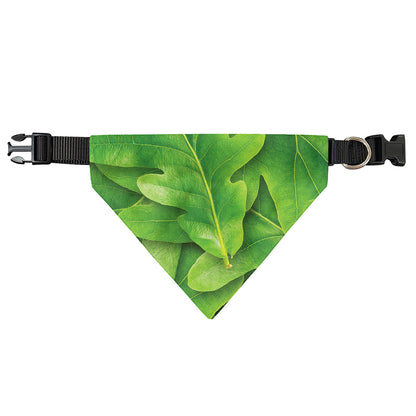 Green Oak Leaf Print Over The Collar Dog Bandana
