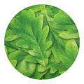 Green Oak Leaf Print Round Blanket