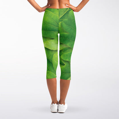 Green Oak Leaf Print Women's Capri Leggings