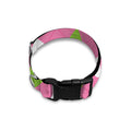 Green Pink And White Argyle Print Dog Collar