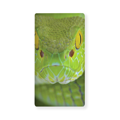 Green Pit Viper Print Baby Crib Sheet
