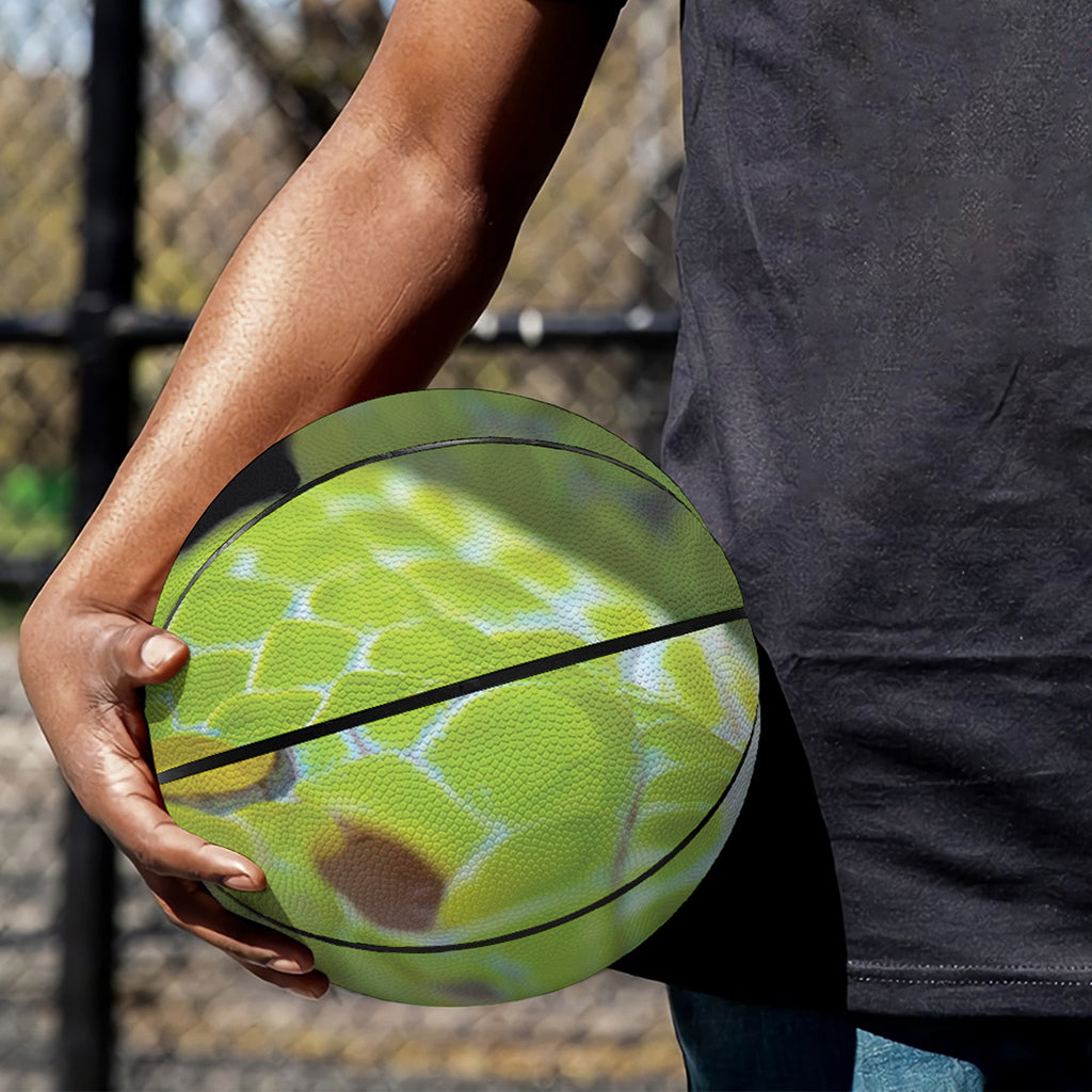 Green Pit Viper Print Basketball