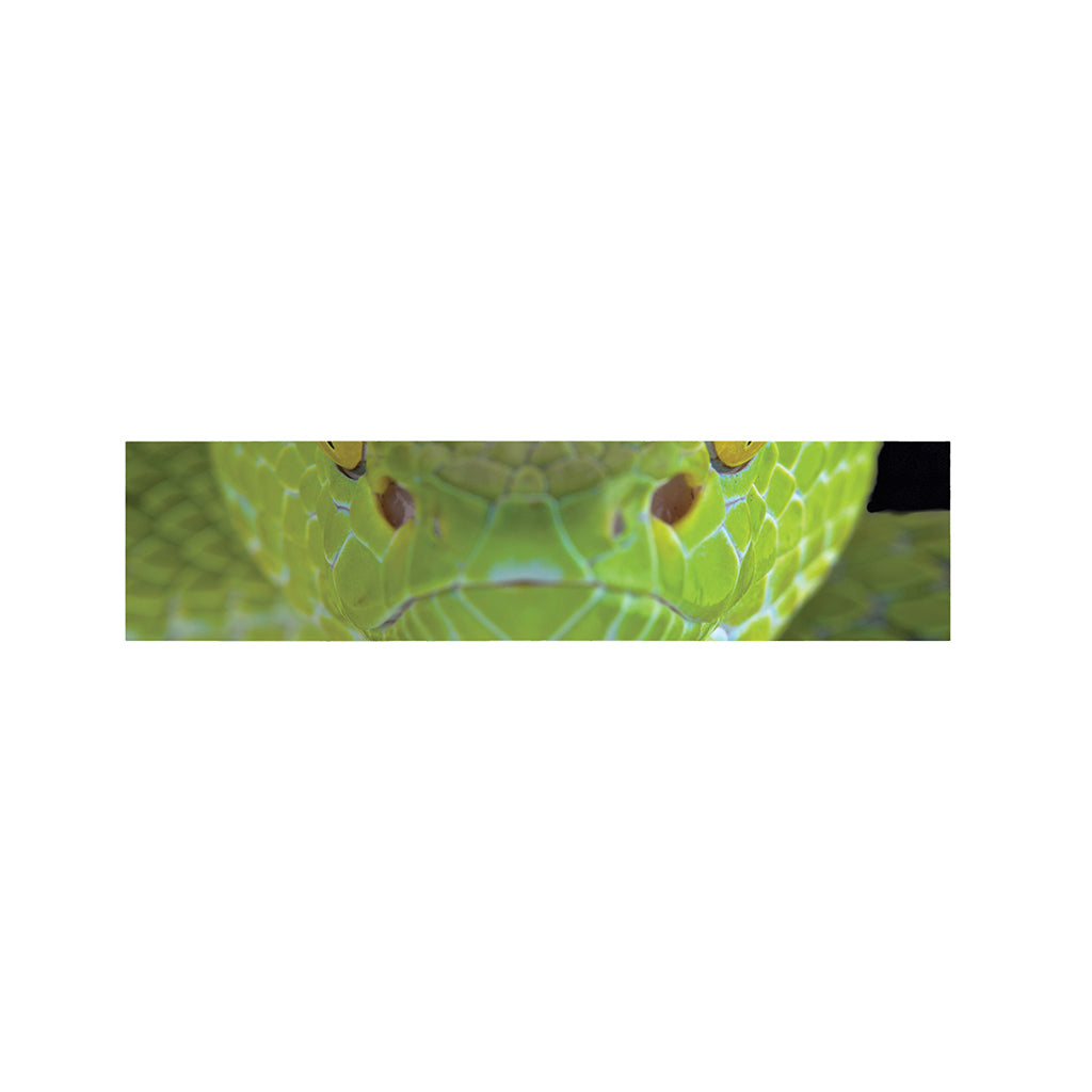 Green Pit Viper Print Bed Runner