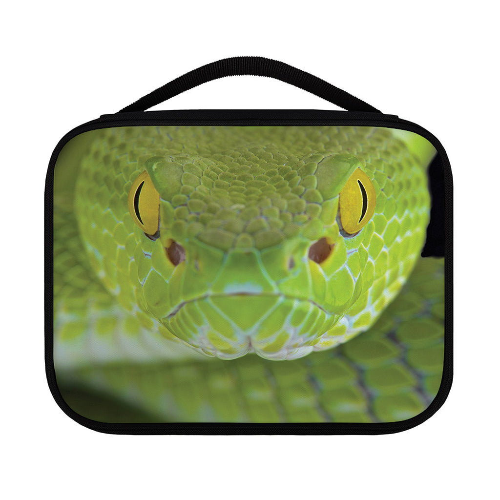 Green Pit Viper Print Classic Bible Case