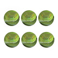 Green Pit Viper Print Coaster Set