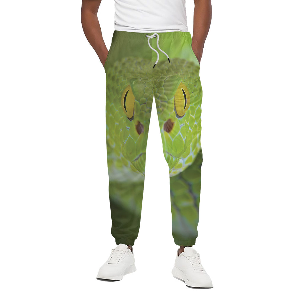 Green Pit Viper Print Cotton Pants