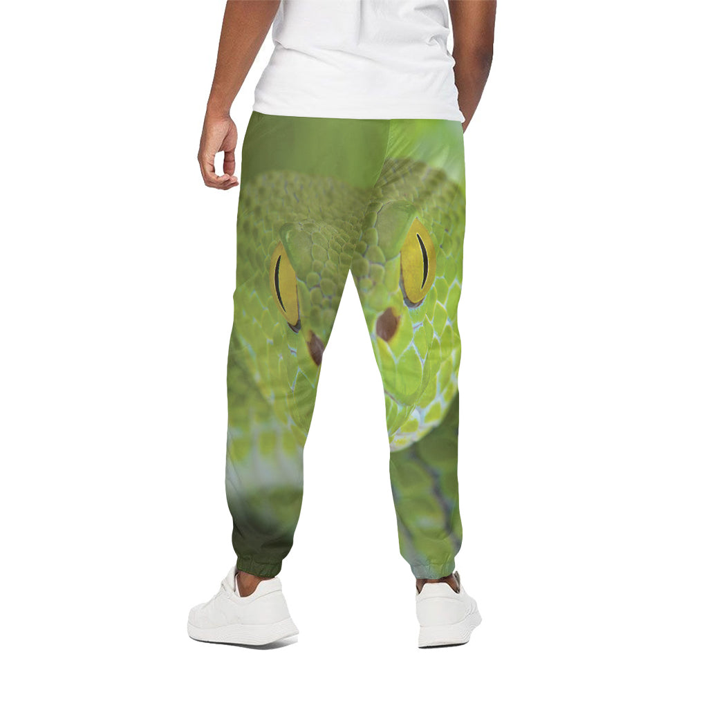 Green Pit Viper Print Cotton Pants