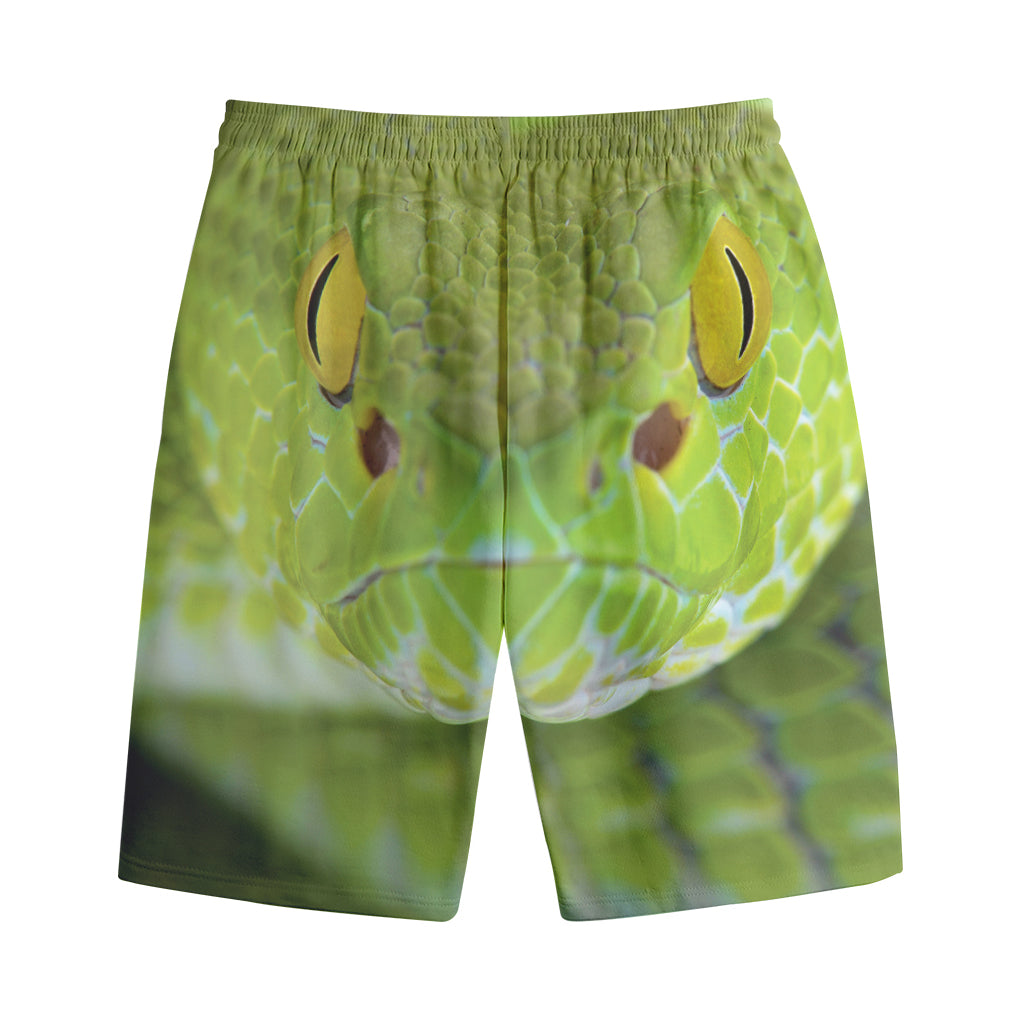 Green Pit Viper Print Cotton Shorts