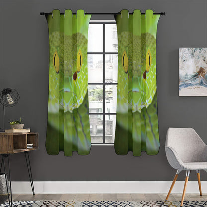 Green Pit Viper Print Curtain