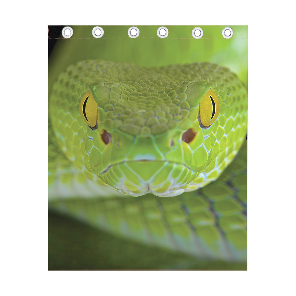 Green Pit Viper Print Curtain