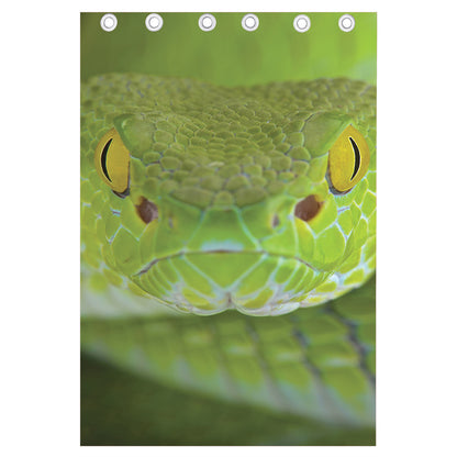 Green Pit Viper Print Curtain