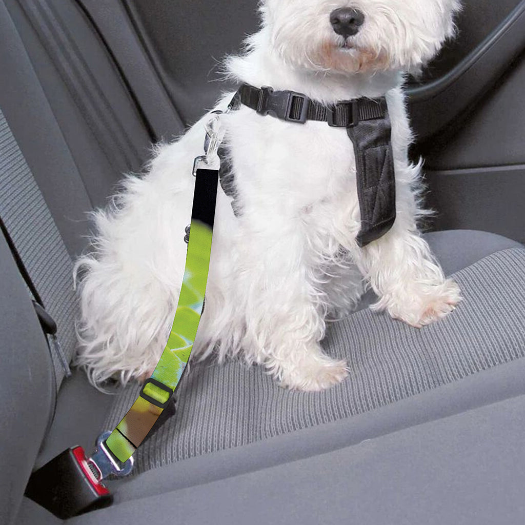 Green Pit Viper Print Dog Seat Belt