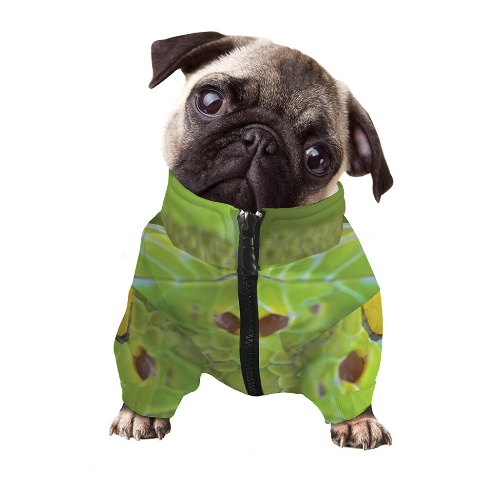 Green Pit Viper Print Dog Zip Up Jacket