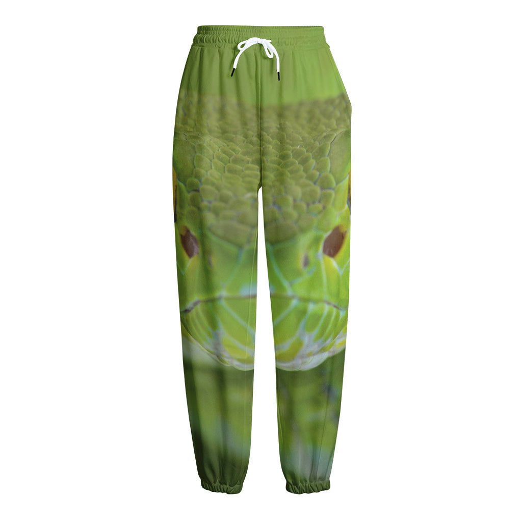 Green Pit Viper Print Fleece Lined Knit Pants
