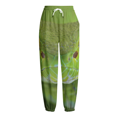 Green Pit Viper Print Fleece Lined Knit Pants