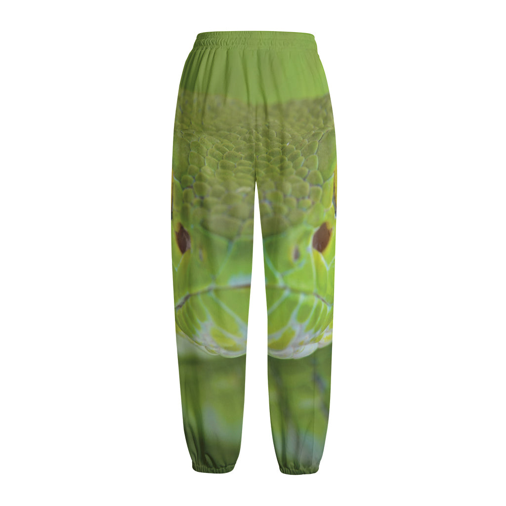 Green Pit Viper Print Fleece Lined Knit Pants