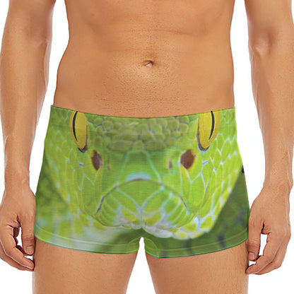Green Pit Viper Print Men's Short Boxer Briefs