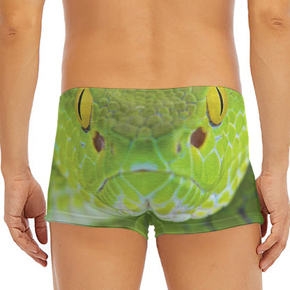 Green Pit Viper Print Men's Short Boxer Briefs