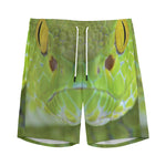 Green Pit Viper Print Men's Sports Shorts