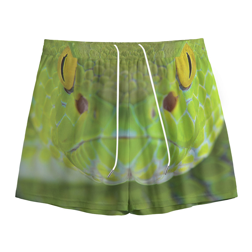 Green Pit Viper Print Mesh Shorts