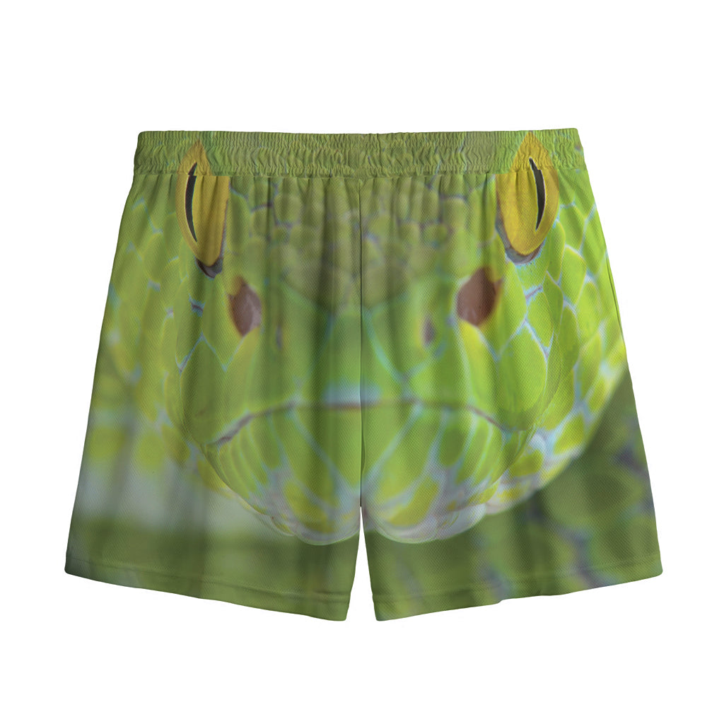 Green Pit Viper Print Mesh Shorts