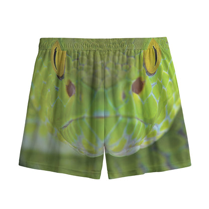 Green Pit Viper Print Mesh Shorts