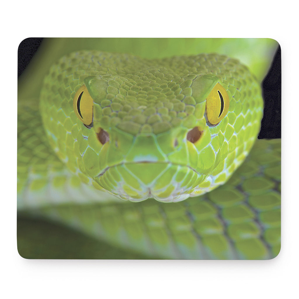 Green Pit Viper Print Mouse Pad