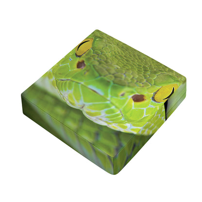 Green Pit Viper Print Outdoor Seat Cushion Cover