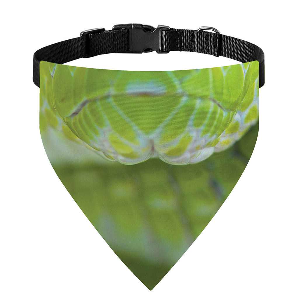 Green Pit Viper Print Over The Collar Dog Bandana