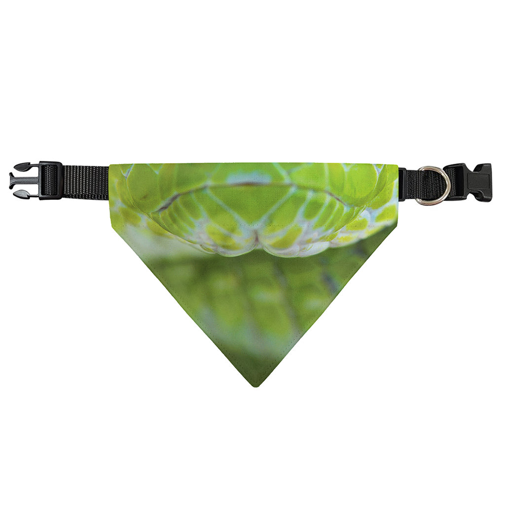 Green Pit Viper Print Over The Collar Dog Bandana
