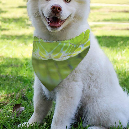 Green Pit Viper Print Over The Collar Dog Bandana