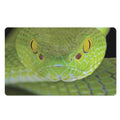 Green Pit Viper Print Polyester Doormat