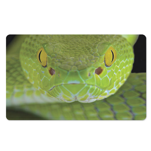 Green Pit Viper Print Polyester Doormat