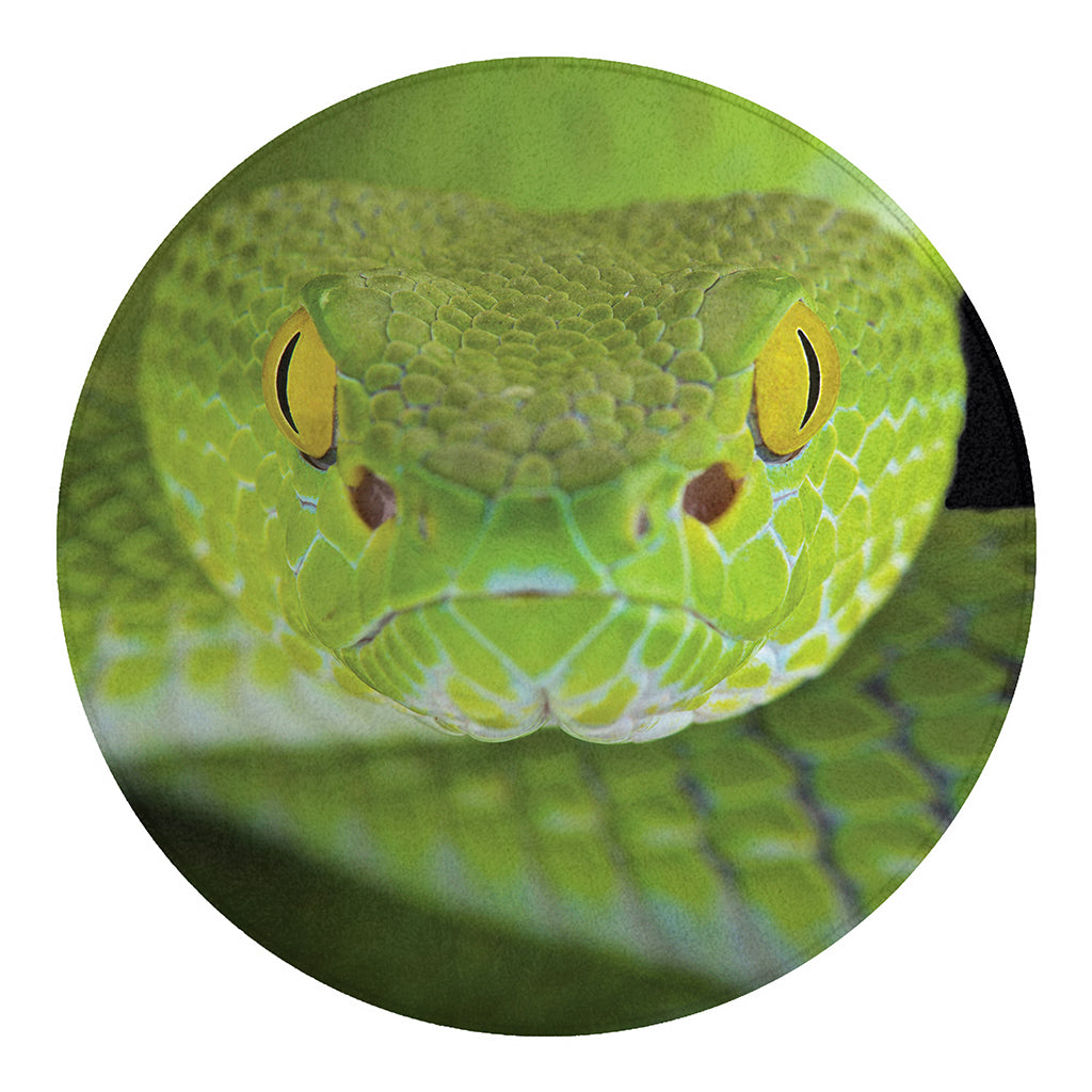 Green Pit Viper Print Round Blanket